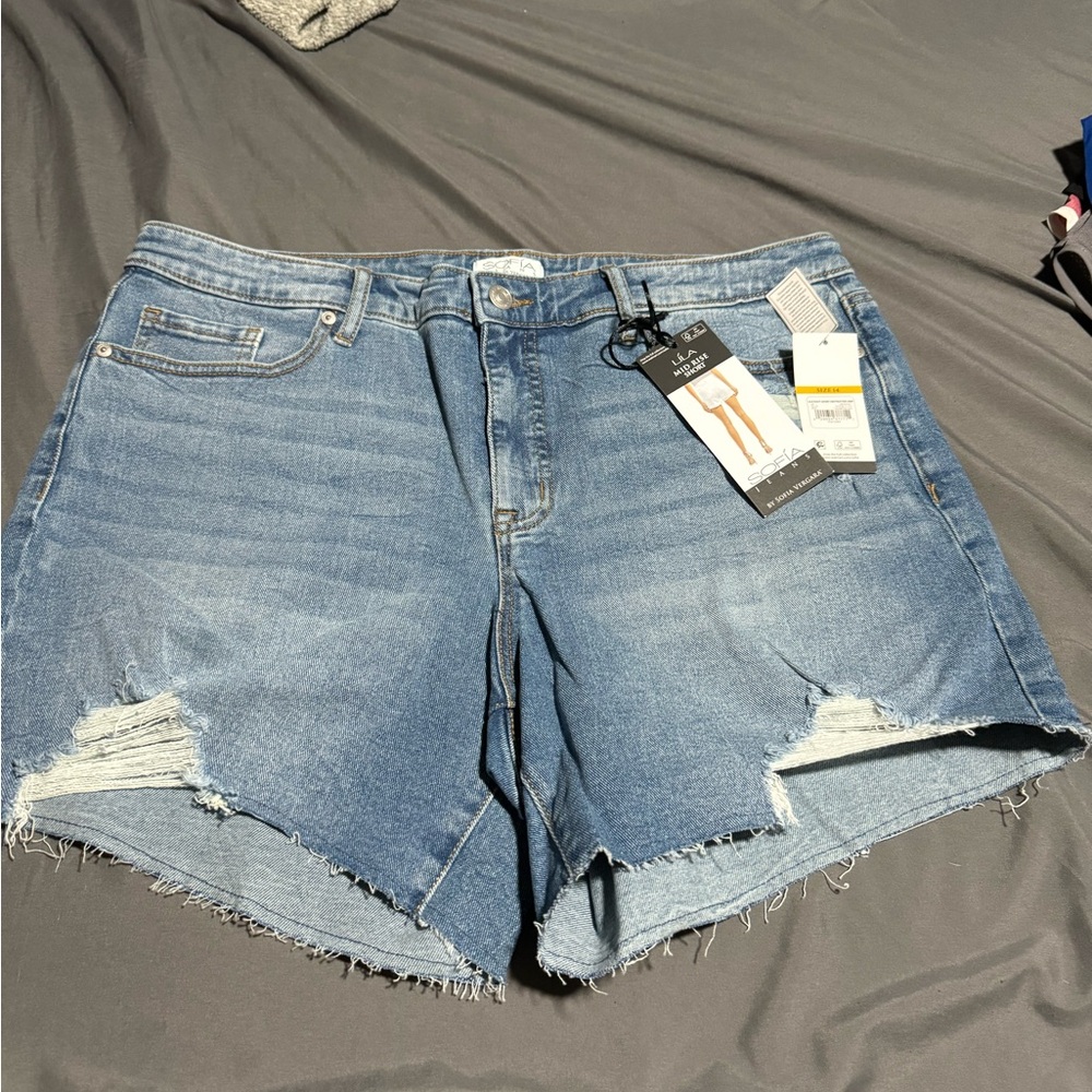 Sofia Vergara Lila Destructed Midrise Shorts